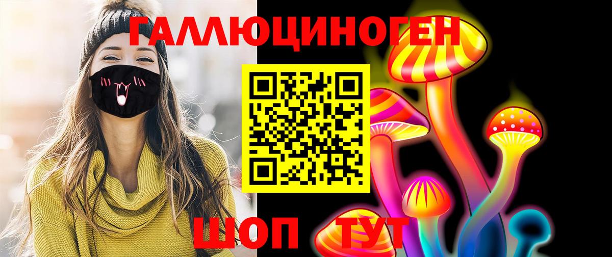 Псилоцибиновые грибы Psilocybine cubensis Оренбург