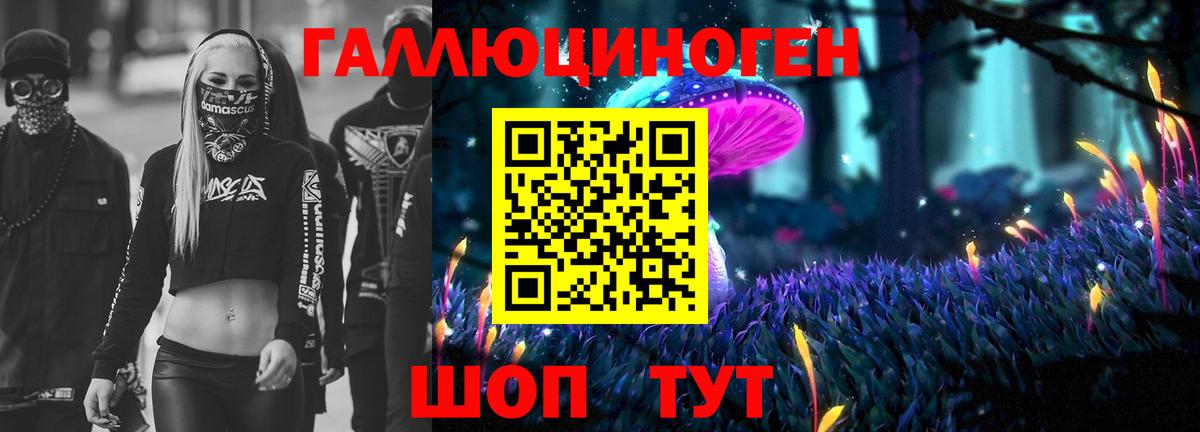 Галлюциногенные грибы Psilocybe  Вход с VPN  Оренбург 
