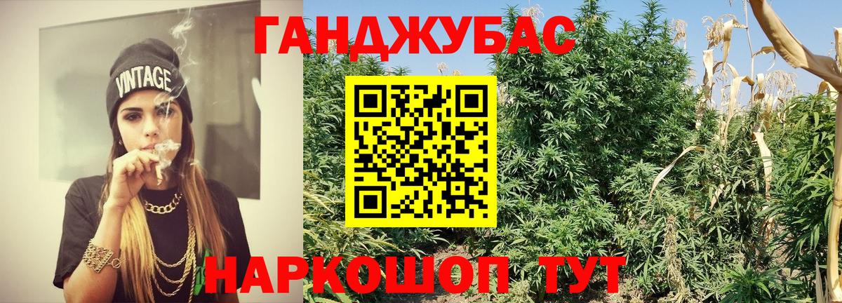 Оренбург  Конопля план  Вход с VPN  Бошки Шишки White Widow 